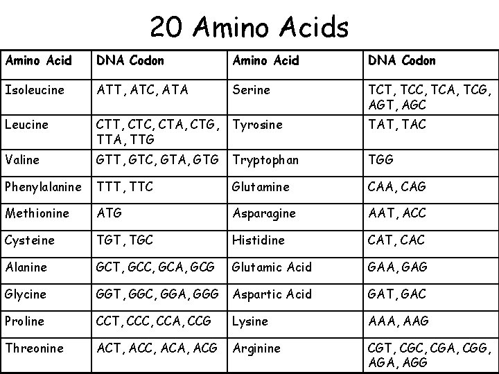 20 Amino Acids Amino Acid DNA Codon Isoleucine ATT, ATC, ATA Serine TCT, TCC,