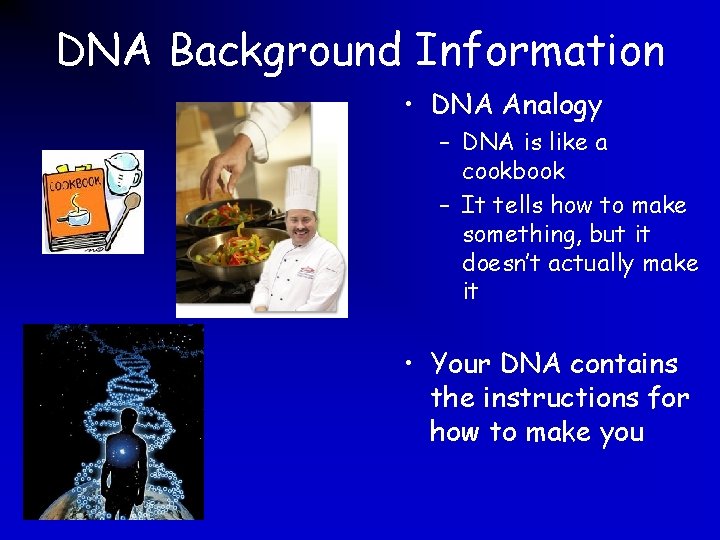 DNA Background Information • DNA Analogy – DNA is like a cookbook – It