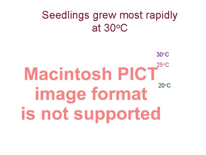 Seedlings grew most rapidly at 30 o. C 25 o. C 20 o. C