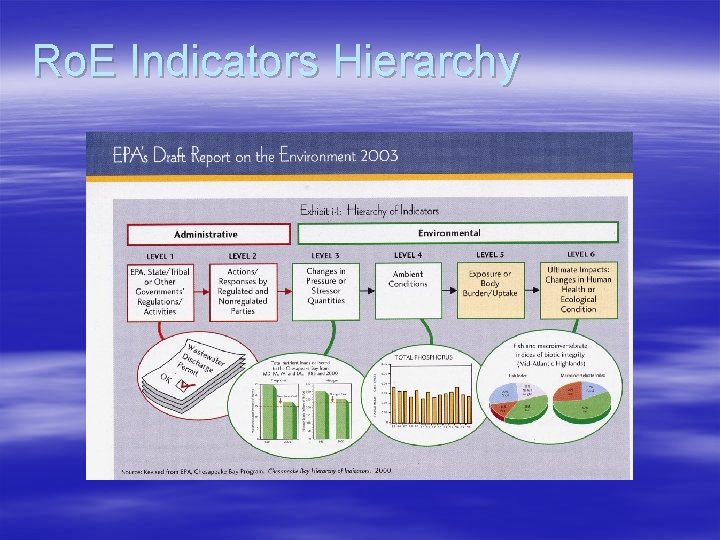 Ro. E Indicators Hierarchy 