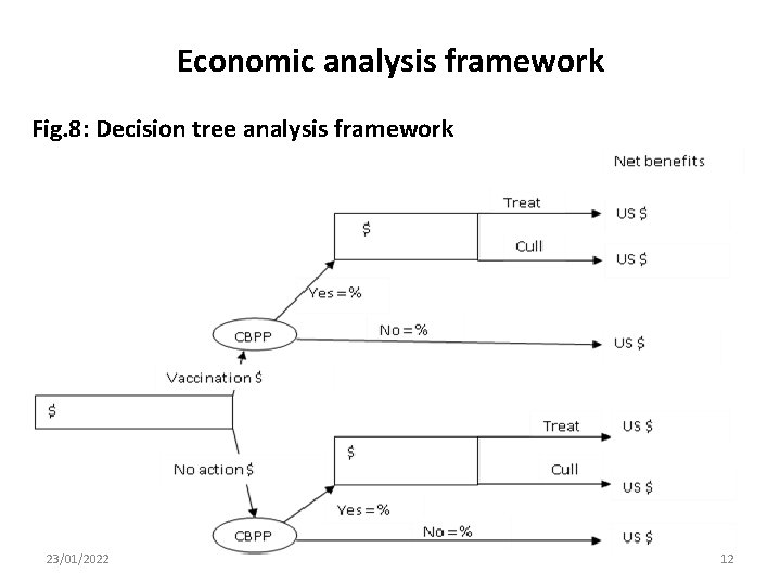 Economic analysis framework Fig. 8: Decision tree analysis framework 23/01/2022 12 