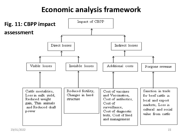 Economic analysis framework Fig. 11: CBPP impact assessment 23/01/2022 15 