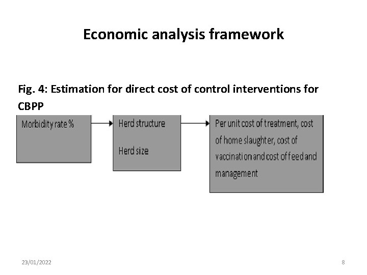 Economic analysis framework Fig. 4: Estimation for direct cost of control interventions for CBPP