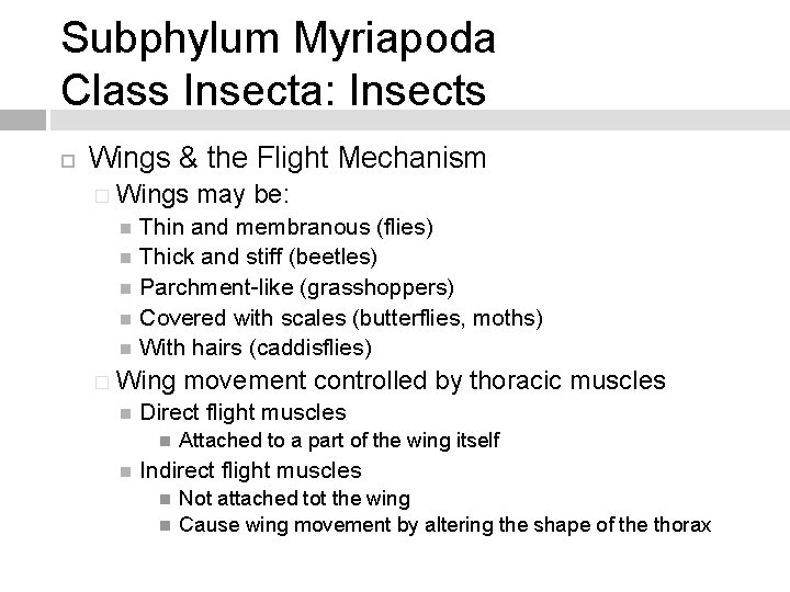 Subphylum Myriapoda Class Insecta: Insects Wings & the Flight Mechanism � Wings may be: