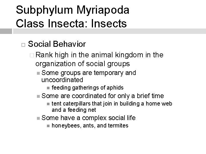 Subphylum Myriapoda Class Insecta: Insects Social Behavior � Rank high in the animal kingdom
