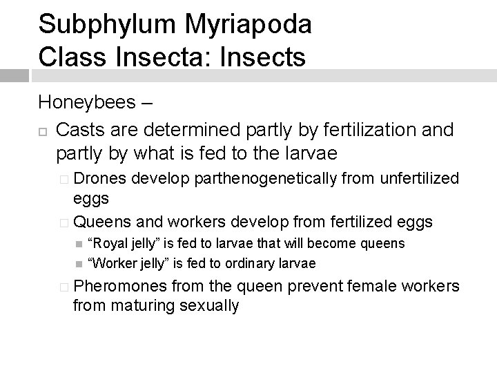 Subphylum Myriapoda Class Insecta: Insects Honeybees – Casts are determined partly by fertilization and
