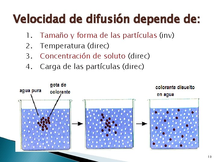 Velocidad de difusión depende de: 1. 2. 3. 4. Tamaño y forma de las