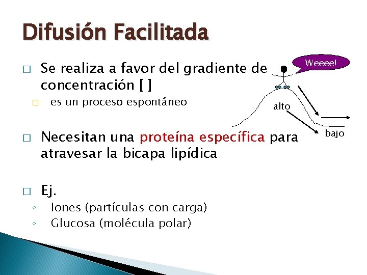 Difusión Facilitada Weeee! !! Se realiza a favor del gradiente de concentración [ ]