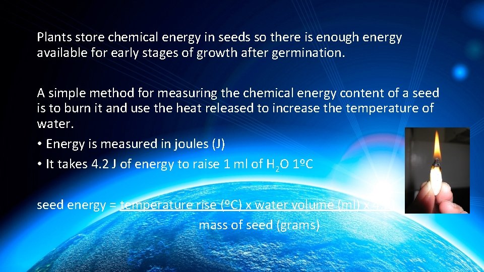 Plants store chemical energy in seeds so there is enough energy available for early