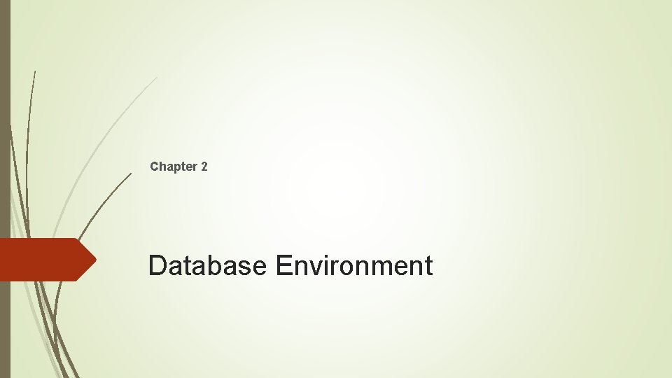 Chapter 2 Database Environment 