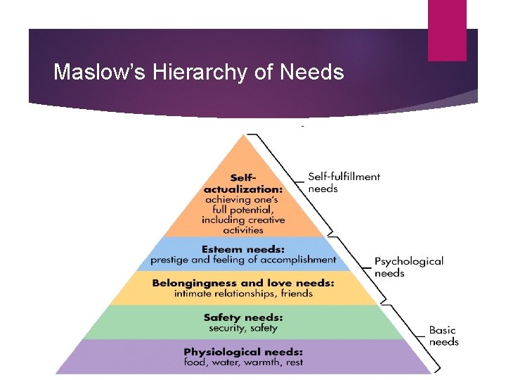 Maslow’s Hierarchy of Needs 