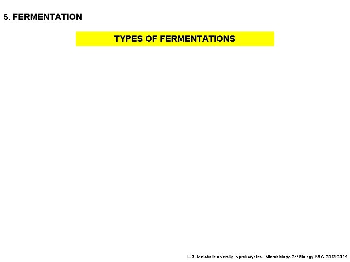 5. FERMENTATION TYPES OF FERMENTATIONS L. 3: Metabolic diversity in prokaryotes. Microbiology. 2 nd