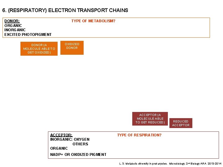 6. (RESPIRATORY) ELECTRON TRANSPORT CHAINS DONOR: ORGANIC INORGANIC EXCITED PHOTOPIGMENT DONOR (A MOLECULE ABLE