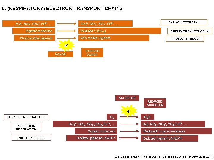 6. (RESPIRATORY) ELECTRON TRANSPORT CHAINS H 2 S, NO 2 -, NH 4+, Fe