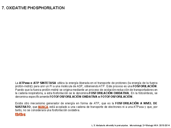7. OXIDATIVE PHOSPHORILATION La ATPasa o ATP SINTETASA utiliza la energía liberada en el