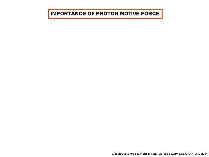 IMPORTANCE OF PROTON MOTIVE FORCE L. 3: Metabolic diversity in prokaryotes. Microbiology. 2 nd