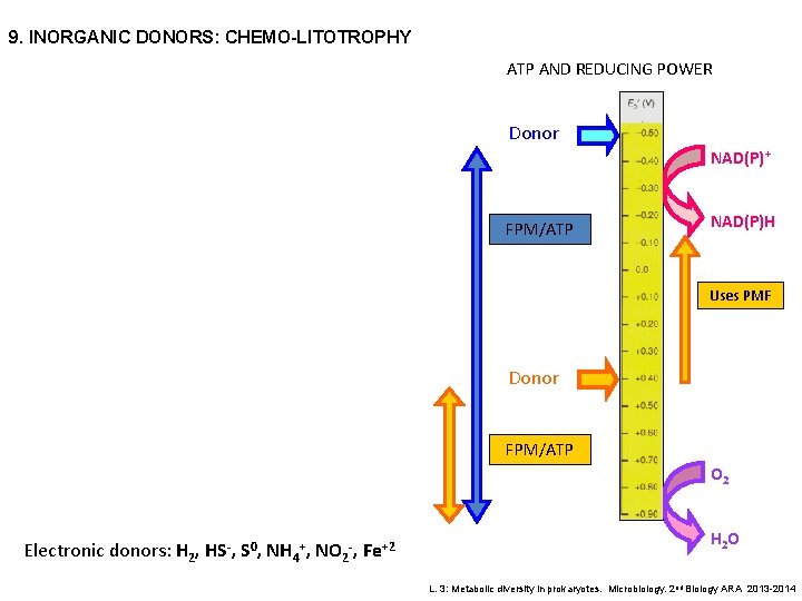 9. INORGANIC DONORS: CHEMO-LITOTROPHY ATP AND REDUCING POWER Donor NAD(P)+ FPM/ATP NAD(P)H Uses PMF