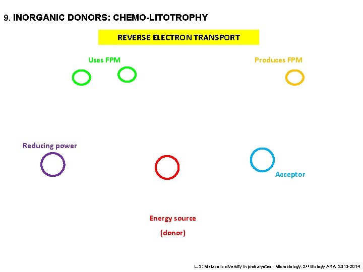 9. INORGANIC DONORS: CHEMO-LITOTROPHY REVERSE ELECTRON TRANSPORT Uses FPM Produces FPM Reducing power Acceptor
