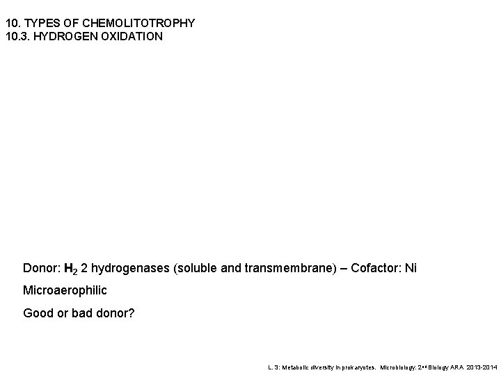 10. TYPES OF CHEMOLITOTROPHY 10. 3. HYDROGEN OXIDATION Donor: H 2 2 hydrogenases (soluble