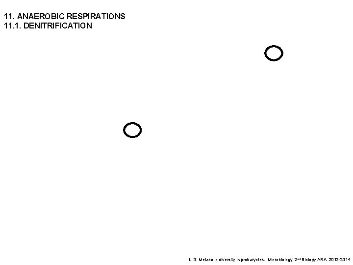 11. ANAEROBIC RESPIRATIONS 11. 1. DENITRIFICATION L. 3: Metabolic diversity in prokaryotes. Microbiology. 2