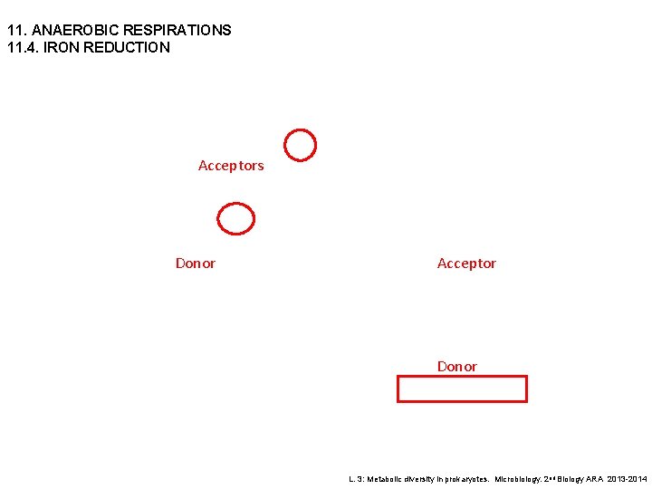 11. ANAEROBIC RESPIRATIONS 11. 4. IRON REDUCTION Acceptors Donor Acceptor Donor L. 3: Metabolic