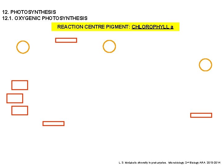 12. PHOTOSYNTHESIS 12. 1. OXYGENIC PHOTOSYNTHESIS REACTION CENTRE PIGMENT: CHLOROPHYLL a L. 3: Metabolic