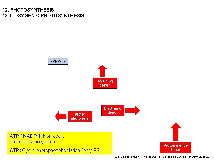 12. PHOTOSYNTHESIS 12. 1. OXYGENIC PHOTOSYNTHESIS FPM/ATP Reducing power Water photolysis ATP / NADPH: