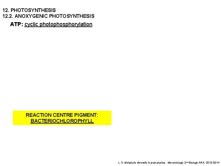 12. PHOTOSYNTHESIS 12. 2. ANOXYGENIC PHOTOSYNTHESIS ATP: cyclic photophosphorylation REACTION CENTRE PIGMENT: BACTERIOCHLOROPHYLL L.