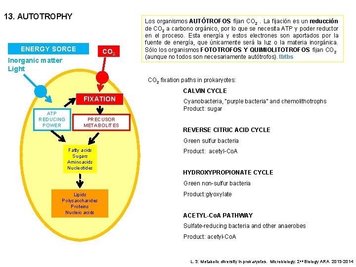 13. AUTOTROPHY ENERGY SORCE CO 2 Inorganic matter Light Los organismos AUTÓTROFOS fijan CO