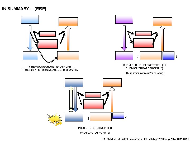 IN SUMMARY… (BBE) 1 2 CHEMIOLITHOHETEROTROPH (1) CHEMIOLITHOATOTROPH (2) CHEMOORGANOHETEROTROPH Respiration (aerobic/anaerobic) or fermentation