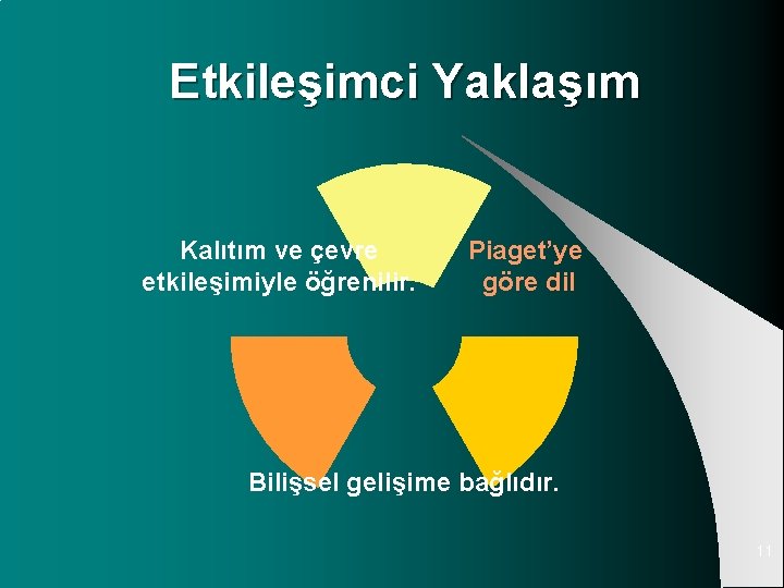 Etkileşimci Yaklaşım Kalıtım ve çevre etkileşimiyle öğrenilir. Piaget’ye göre dil Bilişsel gelişime bağlıdır. 11