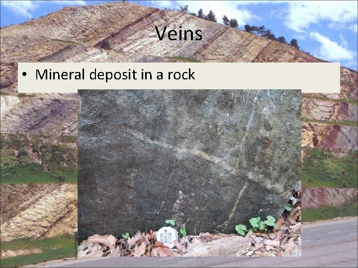 Veins • Mineral deposit in a rock 