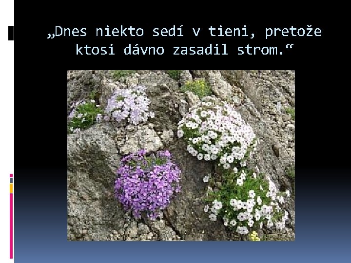 „Dnes niekto sedí v tieni, pretože ktosi dávno zasadil strom. “ 