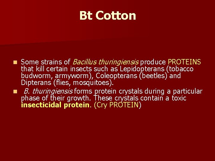 Bt Cotton Some strains of Bacillus thuringiensis produce PROTEINS that kill certain insects such