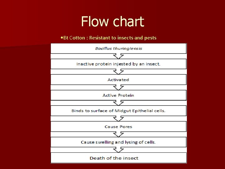 Flow chart • Bt Cotton : Resistant to insects and pests 