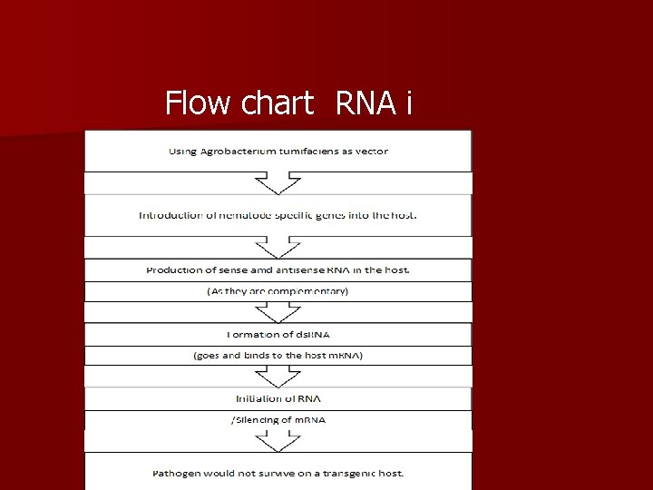 Flow chart RNA i 