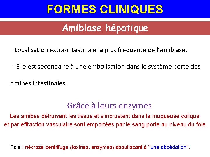 FORMES CLINIQUES Amibiase hépatique - Localisation extra-intestinale la plus fréquente de l’amibiase. - Elle