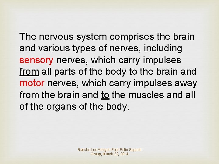 The nervous system comprises the brain and various types of nerves, including sensory nerves,