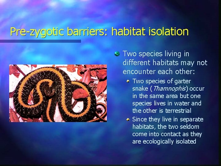 Pre-zygotic barriers: habitat isolation Two species living in different habitats may not encounter each