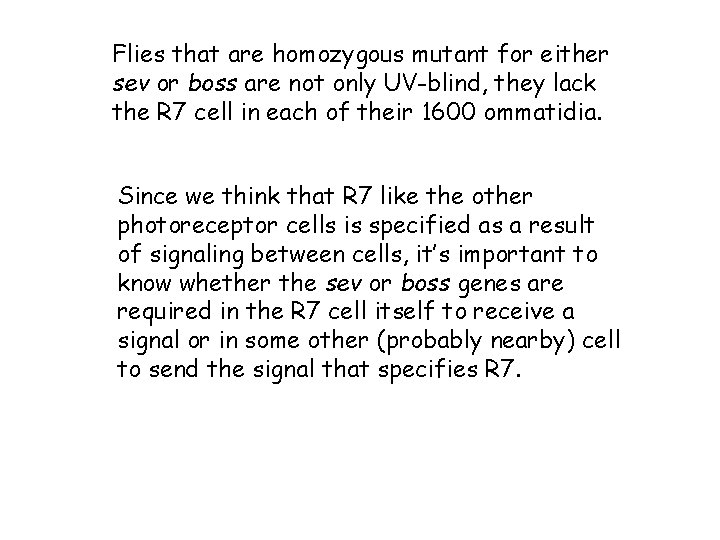 Flies that are homozygous mutant for either sev or boss are not only UV-blind,