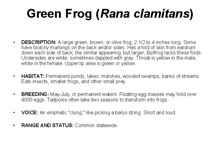 Green Frog (Rana clamitans) • DESCRIPTION: A large green, brown, or olive frog, 2