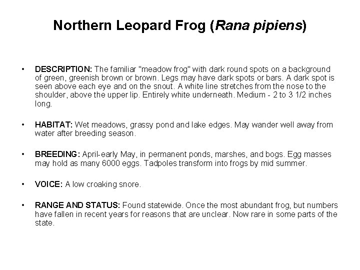 Northern Leopard Frog (Rana pipiens) • DESCRIPTION: The familiar "meadow frog" with dark round