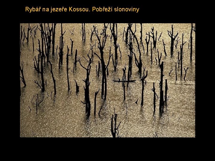 Rybář na jezeře Kossou. Pobřeží slonoviny 