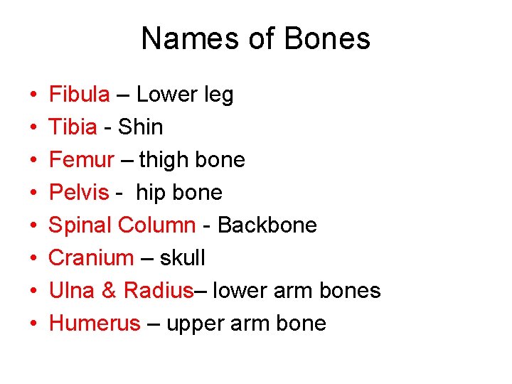 Names of Bones • • Fibula – Lower leg Tibia - Shin Femur –