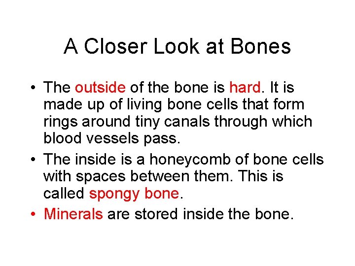 A Closer Look at Bones • The outside of the bone is hard. It