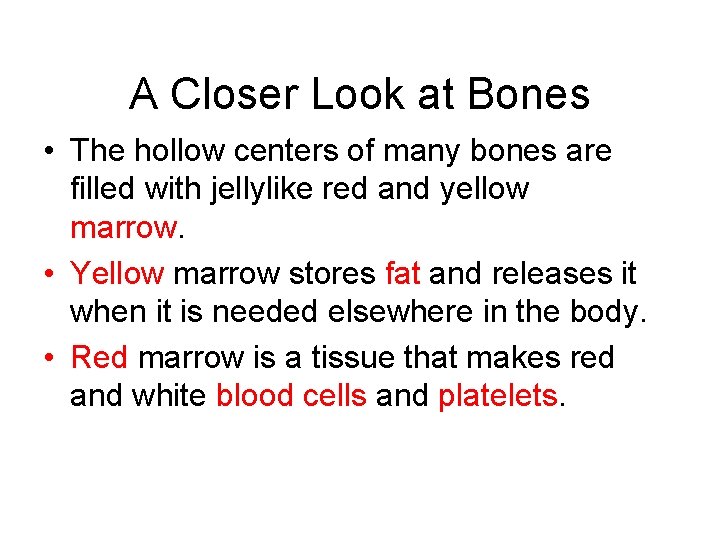 A Closer Look at Bones • The hollow centers of many bones are filled