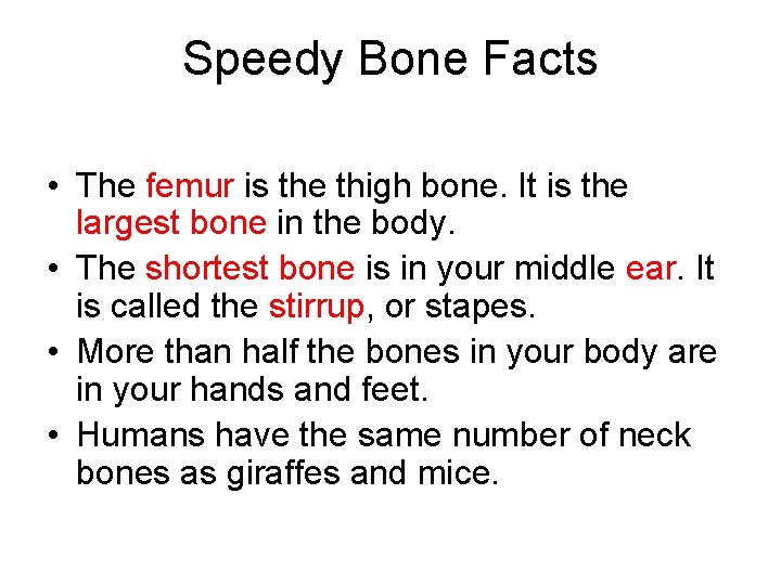 Speedy Bone Facts • The femur is the thigh bone. It is the largest