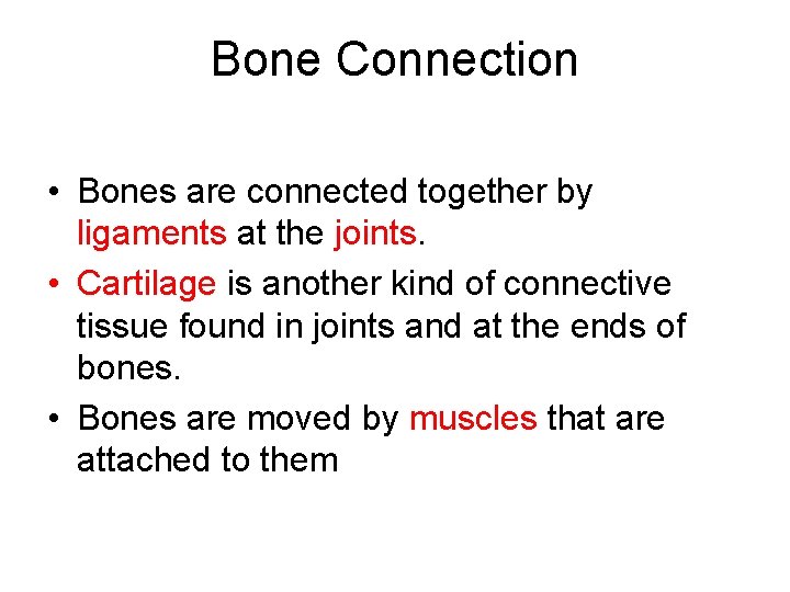 Bone Connection • Bones are connected together by ligaments at the joints. • Cartilage