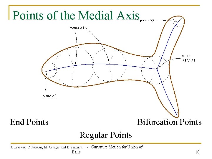 Points of the Medial Axis End Points Bifurcation Points Regular Points T. Lewiner, C.