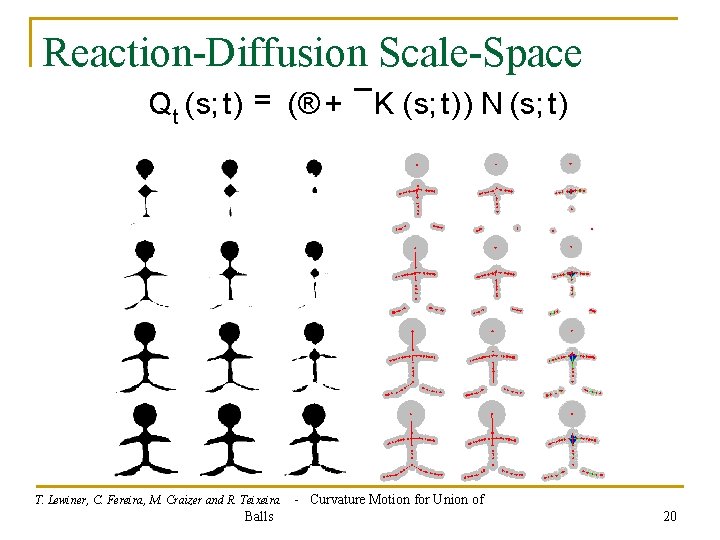 Reaction-Diffusion Scale-Space Qt (s; t) = (® + ¯K (s; t)) N (s; t)
